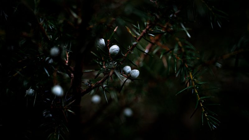 Maria 0 QVL Gq B Sql U unsplash