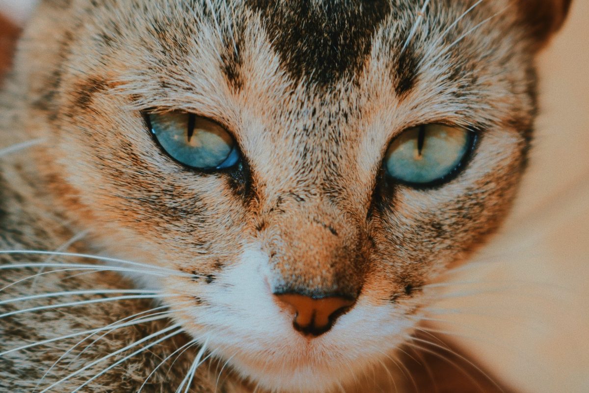 Jalitha hewage NL4b8hf Oww unsplash